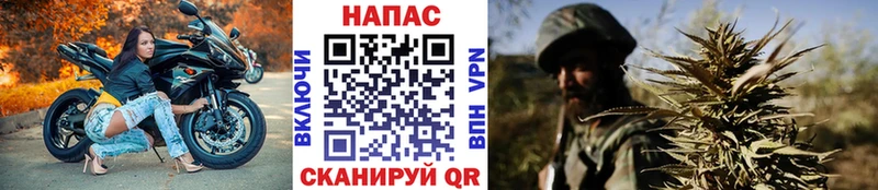 Купить Киселёвск Марихуана  COCAIN  ГАШИШ  АМФ  МЕФ  Псилоцибиновые грибы  APVP 