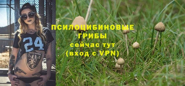 мескалин Бородино