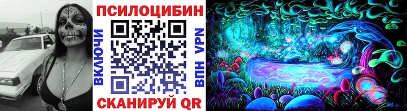 закладки  Киселёвск  Галлюциногенные грибы Cubensis 